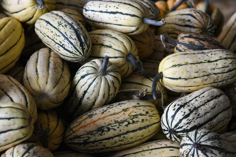 Harvest Vegetables